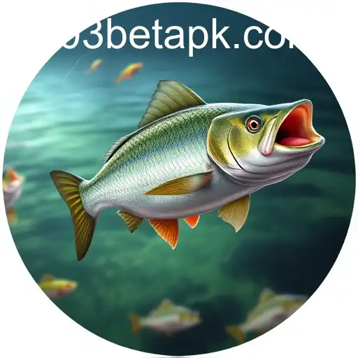 Security and Trust X03.bet - International Licenses and Certifications